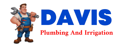 Trusted plumber in RUSH VALLEY